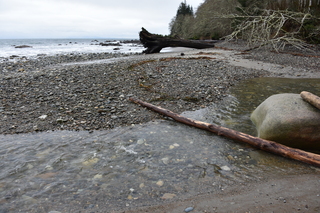 Filename=DSC_2887.JPG
Filesize=21985KiB
Dimensions=7360x4912
Date added=Jan 25, 2021 DSC_2887.JPG