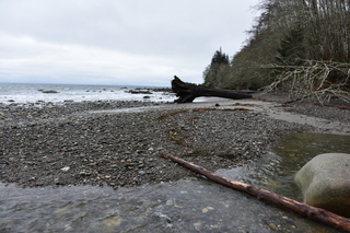 Filename=DSC_2888.JPG
Filesize=21413KiB
Dimensions=7360x4912
Date added=Jan 25, 2021 DSC_2888.JPG