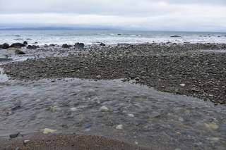 Filename=DSC_2889.JPG
Filesize=20656KiB
Dimensions=7360x4912
Date added=Jan 25, 2021 DSC_2889.JPG