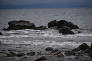 Filename=DSC_2892.JPG
Filesize=16611KiB
Dimensions=7360x4912
Date added=Jan 25, 2021 DSC_2892.JPG