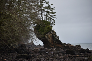 Filename=DSC_2893.JPG
Filesize=18523KiB
Dimensions=7360x4912
Date added=Jan 25, 2021 DSC_2893.JPG