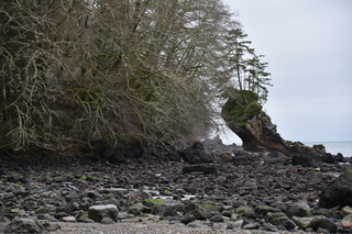 Filename=DSC_2895.JPG
Filesize=20855KiB
Dimensions=7360x4912
Date added=Jan 25, 2021 DSC_2895.JPG