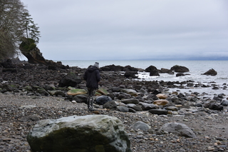 Filename=DSC_2896.JPG
Filesize=17678KiB
Dimensions=7360x4912
Date added=Jan 25, 2021 DSC_2896.JPG