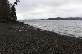 Filename=DSC_2897.JPG
Filesize=19914KiB
Dimensions=7360x4912
Date added=Mar 13, 2021 DSC_2897.JPG