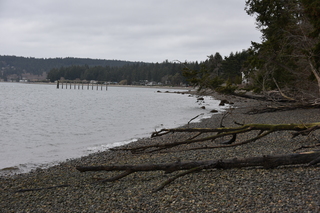 Filename=DSC_2898.JPG
Filesize=18767KiB
Dimensions=7360x4912
Date added=Mar 13, 2021 DSC_2898.JPG