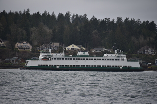 Filename=DSC_2899.JPG
Filesize=17308KiB
Dimensions=7360x4912
Date added=Mar 13, 2021 DSC_2899.JPG