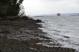 Filename=DSC_2900.JPG
Filesize=19563KiB
Dimensions=7360x4912
Date added=Mar 13, 2021 DSC_2900.JPG