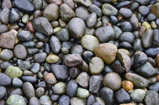 Filename=DSC_2904.JPG
Filesize=19294KiB
Dimensions=7360x4912
Date added=Mar 13, 2021 DSC_2904.JPG