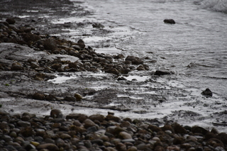 Filename=DSC_2906.JPG
Filesize=17603KiB
Dimensions=7360x4912
Date added=Mar 13, 2021 DSC_2906.JPG