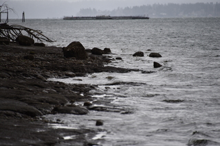 Filename=DSC_2908.JPG
Filesize=16569KiB
Dimensions=7360x4912
Date added=Mar 13, 2021 DSC_2908.JPG