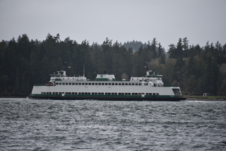 Filename=DSC_2909.JPG
Filesize=16964KiB
Dimensions=7360x4912
Date added=Mar 13, 2021 DSC_2909.JPG