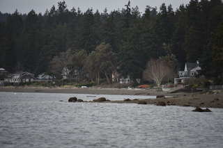 Filename=DSC_2912.JPG
Filesize=16582KiB
Dimensions=7360x4912
Date added=Mar 13, 2021 DSC_2912.JPG