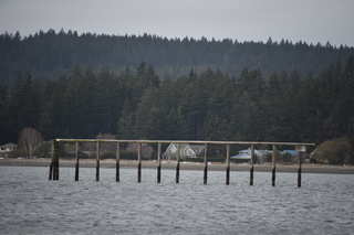 Filename=DSC_2913.JPG
Filesize=16200KiB
Dimensions=7360x4912
Date added=Mar 13, 2021 DSC_2913.JPG