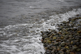 Filename=DSC_2914.JPG
Filesize=17215KiB
Dimensions=7360x4912
Date added=Mar 13, 2021 DSC_2914.JPG