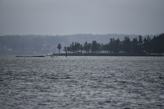 Filename=DSC_2915.JPG
Filesize=16075KiB
Dimensions=7360x4912
Date added=Mar 13, 2021 DSC_2915.JPG