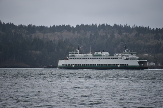 Filename=DSC_2916.JPG
Filesize=16372KiB
Dimensions=7360x4912
Date added=Mar 13, 2021 DSC_2916.JPG