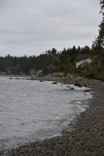 Filename=DSC_2918.JPG
Filesize=15312KiB
Dimensions=4912x7360
Date added=Mar 13, 2021 DSC_2918.JPG