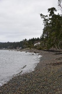 Filename=DSC_2919.JPG
Filesize=16530KiB
Dimensions=4912x7360
Date added=Mar 13, 2021 DSC_2919.JPG