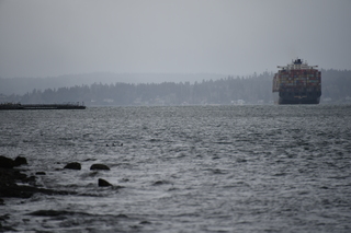 Filename=DSC_2920.JPG
Filesize=15569KiB
Dimensions=7360x4912
Date added=Mar 13, 2021 DSC_2920.JPG