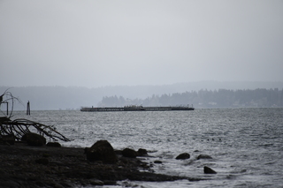 Filename=DSC_2921.JPG
Filesize=15190KiB
Dimensions=7360x4912
Date added=Mar 13, 2021 DSC_2921.JPG