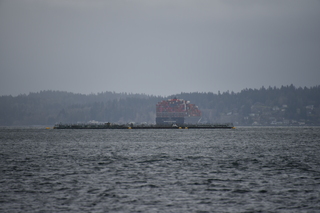 Filename=DSC_2922.JPG
Filesize=15543KiB
Dimensions=7360x4912
Date added=Mar 13, 2021 DSC_2922.JPG