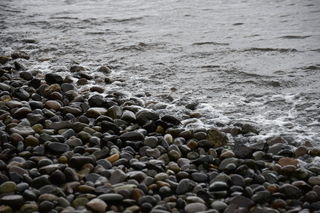 Filename=DSC_2925.JPG
Filesize=17917KiB
Dimensions=7360x4912
Date added=Mar 13, 2021 DSC_2925.JPG