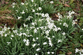 Filename=DSC_2928.JPG
Filesize=18137KiB
Dimensions=7360x4912
Date added=Mar 13, 2021 DSC_2928.JPG