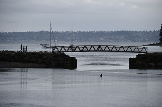 Filename=DSC_2931.JPG
Filesize=16920KiB
Dimensions=7360x4912
Date added=Mar 13, 2021 DSC_2931.JPG