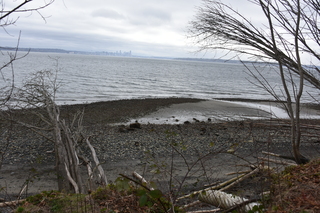 Filename=DSC_2946.JPG
Filesize=22527KiB
Dimensions=7360x4912
Date added=Mar 13, 2021 DSC_2946.JPG