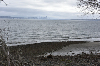 Filename=DSC_2948.JPG
Filesize=21391KiB
Dimensions=7360x4912
Date added=Mar 13, 2021 DSC_2948.JPG