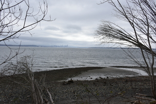 Filename=DSC_2951.JPG
Filesize=21665KiB
Dimensions=7360x4912
Date added=Mar 13, 2021 DSC_2951.JPG