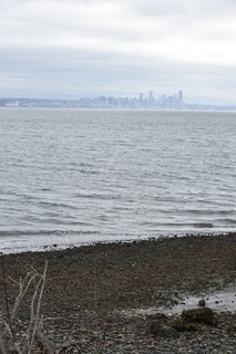 Filename=DSC_2952.JPG
Filesize=17728KiB
Dimensions=4912x7360
Date added=Mar 13, 2021 DSC_2952.JPG