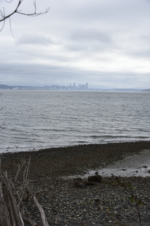 Filename=DSC_2953.JPG
Filesize=17179KiB
Dimensions=4912x7360
Date added=Mar 13, 2021 DSC_2953.JPG