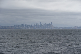 Filename=DSC_2961.JPG
Filesize=18603KiB
Dimensions=7360x4912
Date added=Mar 13, 2021 DSC_2961.JPG