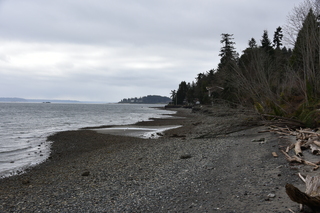 Filename=DSC_2962.JPG
Filesize=20237KiB
Dimensions=7360x4912
Date added=Mar 13, 2021 DSC_2962.JPG