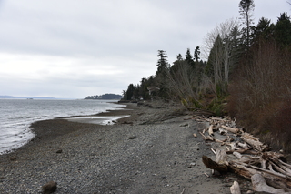 Filename=DSC_2963.JPG
Filesize=20750KiB
Dimensions=7360x4912
Date added=Mar 13, 2021 DSC_2963.JPG