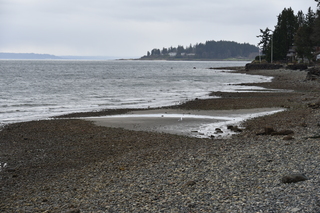 Filename=DSC_2964.JPG
Filesize=21415KiB
Dimensions=7360x4912
Date added=Mar 13, 2021 DSC_2964.JPG