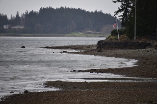 Filename=DSC_2966.JPG
Filesize=17829KiB
Dimensions=7360x4912
Date added=Mar 13, 2021 DSC_2966.JPG