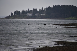 Filename=DSC_2967.JPG
Filesize=16798KiB
Dimensions=7360x4912
Date added=Mar 13, 2021 DSC_2967.JPG