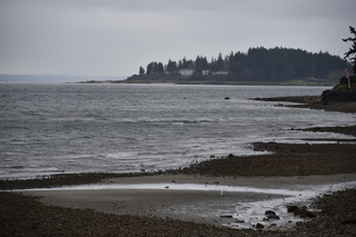 Filename=DSC_2968.JPG
Filesize=18088KiB
Dimensions=7360x4912
Date added=Mar 13, 2021 DSC_2968.JPG