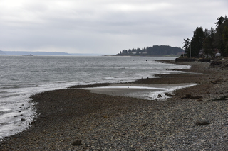 Filename=DSC_2969.JPG
Filesize=20788KiB
Dimensions=7360x4912
Date added=Mar 13, 2021 DSC_2969.JPG