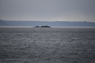 Filename=DSC_2970.JPG
Filesize=16258KiB
Dimensions=7360x4912
Date added=Mar 13, 2021 DSC_2970.JPG