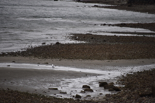 Filename=DSC_2972.JPG
Filesize=18316KiB
Dimensions=7360x4912
Date added=Mar 13, 2021 DSC_2972.JPG