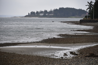 Filename=DSC_2973.JPG
Filesize=18705KiB
Dimensions=7360x4912
Date added=Mar 13, 2021 DSC_2973.JPG