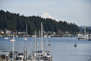 Filename=DSC_2982.JPG
Filesize=19031KiB
Dimensions=7360x4912
Date added=Mar 13, 2021 DSC_2982.JPG