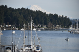 Filename=DSC_2983.JPG
Filesize=18820KiB
Dimensions=7360x4912
Date added=Mar 13, 2021 DSC_2983.JPG