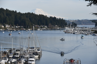 Filename=DSC_2990.JPG
Filesize=20398KiB
Dimensions=7360x4912
Date added=Mar 13, 2021 DSC_2990.JPG