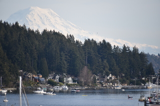 Filename=DSC_2991.JPG
Filesize=17290KiB
Dimensions=7360x4912
Date added=Mar 13, 2021 DSC_2991.JPG