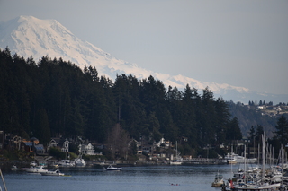 Filename=DSC_2994.JPG
Filesize=16296KiB
Dimensions=7360x4912
Date added=Mar 13, 2021 DSC_2994.JPG