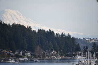 Filename=DSC_2996.JPG
Filesize=16336KiB
Dimensions=7360x4912
Date added=Mar 13, 2021 DSC_2996.JPG